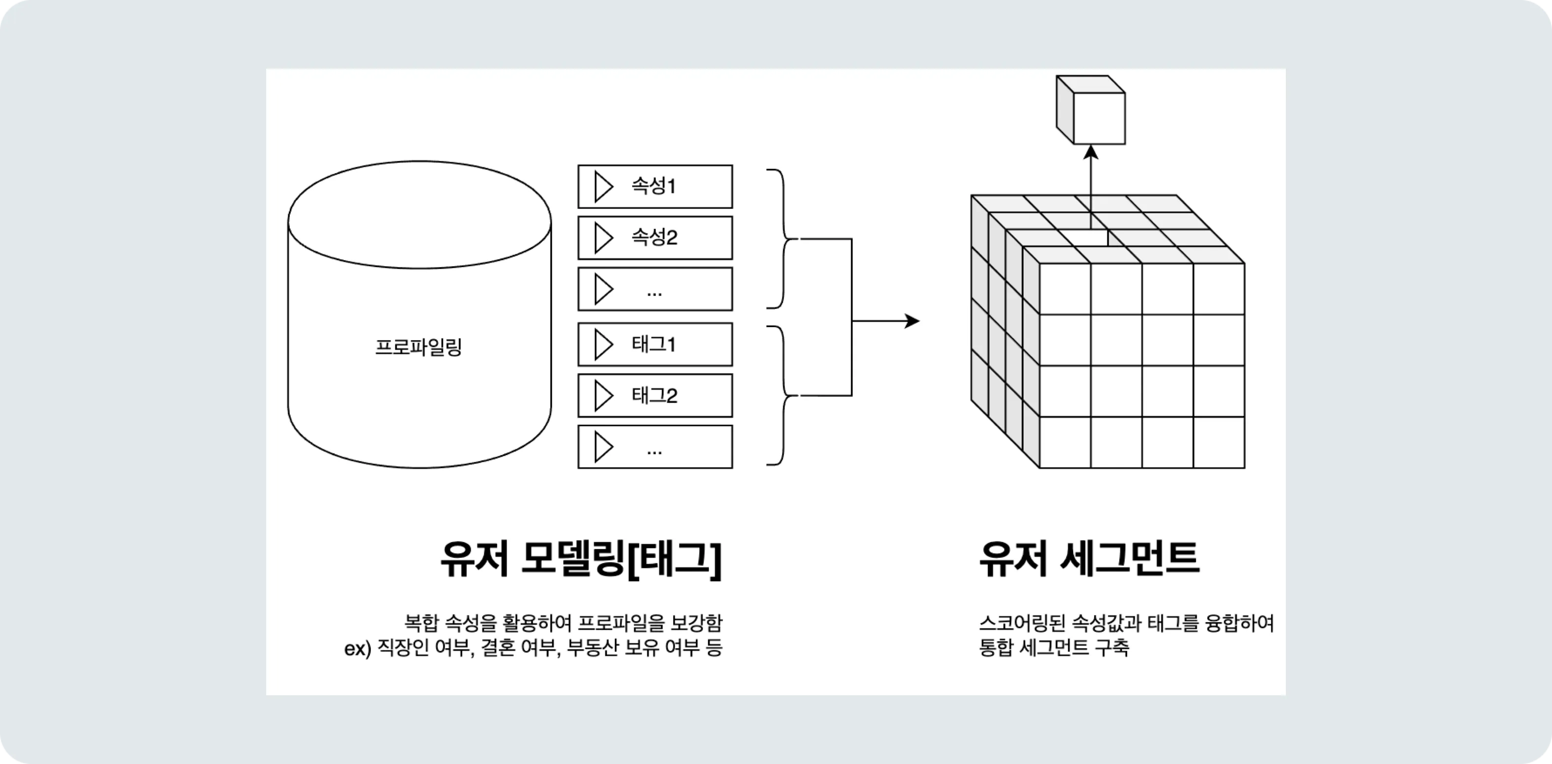 유저 세그먼트