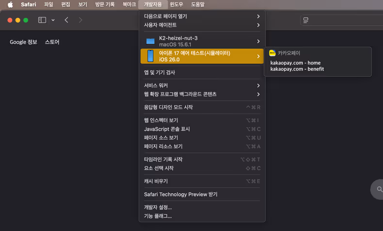 사파리 화면