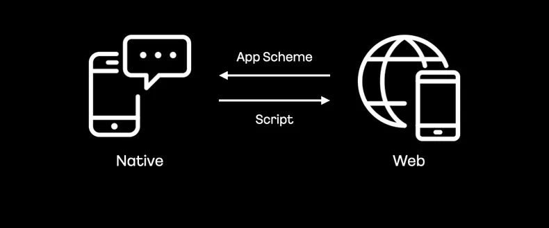 페이 iOS 웹뷰 1.0의 정보전달 방식